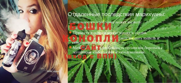 индика Баксан