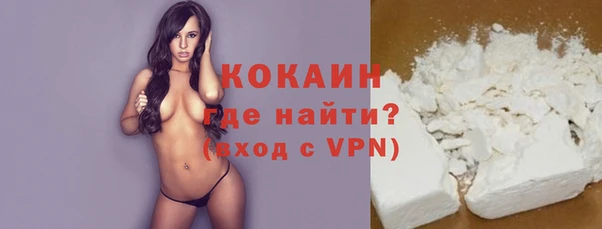 прущие грибы Грязовец