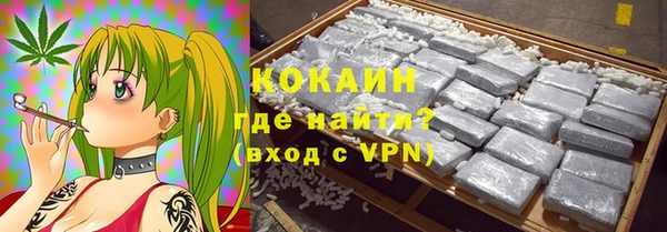 индика Баксан