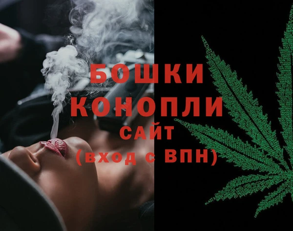 PSILOCYBIN Балабаново