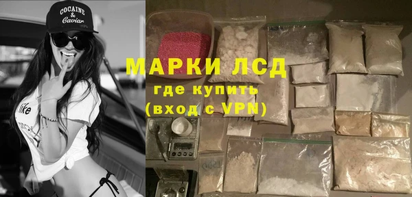 индика Баксан