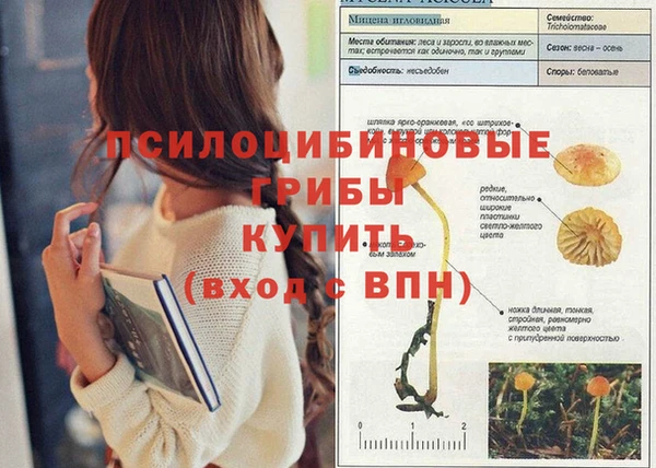 МДПВ Балахна