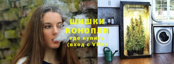 индика Баксан