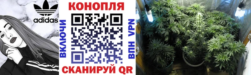 цены   Лакинск  Бошки марихуана SATIVA & INDICA 